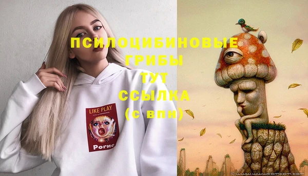 a pvp Алексеевка