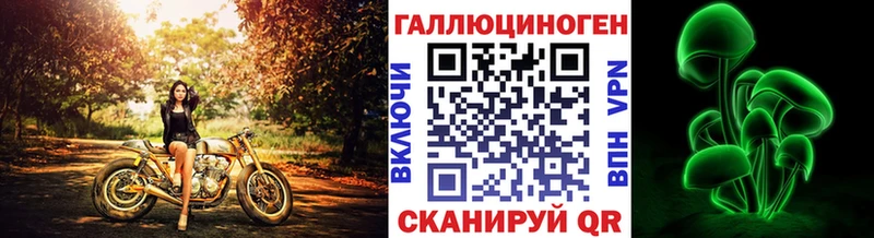 Купить  Яхрома  Псилоцибиновые грибы Psilocybine cubensis 